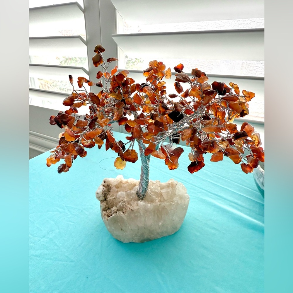 Carnelian Tree - Picture 4 of 6